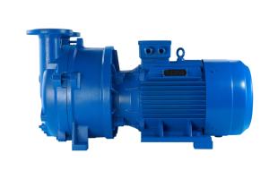 Bomba de Vácuo de Anel de Água 2BV para Aplicações Automotivas - Product Image 3