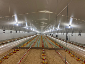 Nuevo Diseño de Sistema Automático de Bebederos para Aves de Corral en Granjas Avícolas - Product Image 5