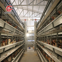Poulailler automatique galvanisé pour poulets de chair en batterie, type H, contrôle environnemental entièrement automatique, taille personnalisée 15-20
