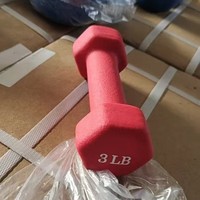 Haltères de gommage en fer et en néoprène pour femmes Équipement de fitness durable pour la maison pour un usage domestique