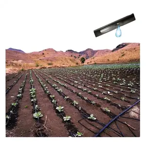 Système d'irrigation goutte à goutte de 2 hectares