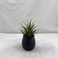 Plantes succulentes artificielles en PE, écologiques, résistantes aux UV, décor de mini-jardin persistant pour usage intérieur et bureautique
