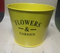 Hiện Đại Châu Âu Kim Loại Thủ Công Mỹ Nghệ Chậu Hoa Người Làm Vườn Của <span class=keywords><strong>Eden</strong></span> Mọng Nước Trồng Làm Bằng Tay Sắt Và Bột Tráng Cho Nhà Vườn Sử Dụng - Product Image 5