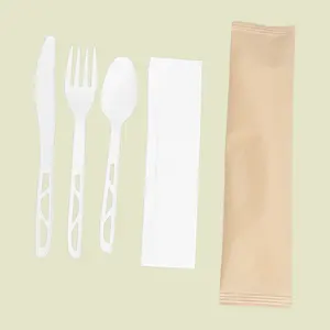 Quanhua Meeting ASTM D 6400 and EN13432 Standards ECO CPLA Customized Spoons Compostable Biodegradable Cutlery