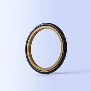 Thời tiết kháng Grs quay <span class=keywords><strong>PTFE</strong></span> Piston Rod con dấu - Product Image 1
