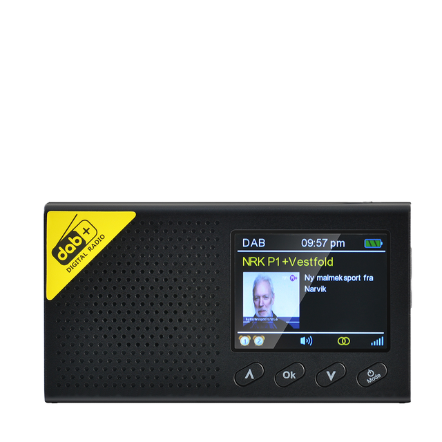 Best Seller Portable Radio with Color TFT Display Auto Digital DAB Radio for Bluetooth Supplies