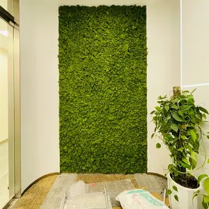 30*30 cm Moss Wall preserved Moss For Wall Decoration Wholesale Indoor Natural Green Grass Decorative DIY Materials