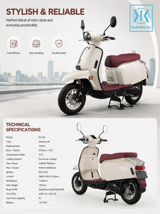 Motocyclette à essence 125cc 6,8KW 9,8Nm de couple Frein à disque CBS Refroidissement par air forcé ECU Réservoir de 9L Commuter urbain DL125 - Product Image 3