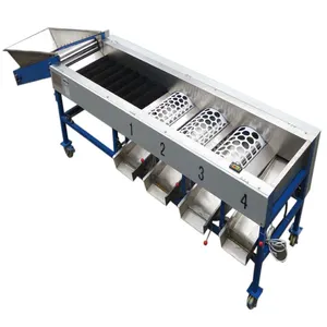 New design sorting and cleaning machine fruit