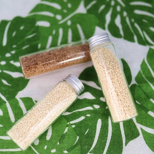 Bebidas <span class=keywords><strong>de</strong></span> jengibre sin azúcar fábrica <span class=keywords><strong>de</strong></span> té <span class=keywords><strong>de</strong></span> jengibre instantáneo natural al por mayor - Product Image 3