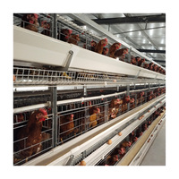 Matériel D'élevage De Volaille automatique Batterie Oeuf Couche Cage de Poulet pour Poules Pondeuses