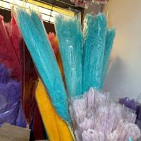 Rumput Pampas Besar, Lembut, Berwarna-warni, Diawetkan, Grosir Pabrik, Bunga Kering untuk Dekorasi Rumah dan Pernikahan Boho