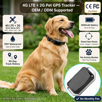 Traceur GPS 4G étanche longue durée pour chiens avec application gratuite, localisation en temps réel, lecture de l'historique, géolocalisation et suivi d'activité