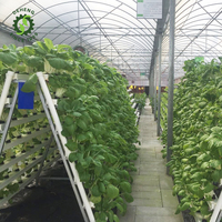 Gouttière de plantation hydroponique à effet de serre moderne pour la culture de légumes en hydroponique Cloner