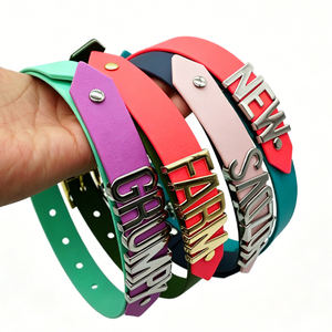 Collar de moda para mascotas en oferta con hebilla de metal con letras, collar de perro personalizado recubierto de PVC, impermeable, para razas pequeñas, medianas y grandes. - Product Image 2