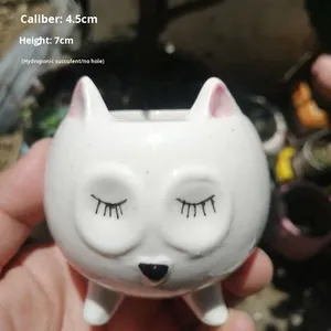 Vaso di fiori in ceramica piccolo succulento vaso decorativo per piante da interno Panda rosso moderno Kit idroponico creativo personalizzato - Product Image 5