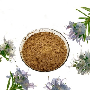 Giá tốt Hương Thảo Chiết Xuất carnosic axit hương thảo lá chiết xuất Rosmarinus officinalis chiết xuất bột - Product Image 3