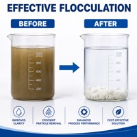 Polyacrylamide Cationique pour la Déshydratation des Boues, Agent de Traitement des Eaux Usées, Floculant en Poudre Haute Efficacité, Pureté 99%, pH 5.0-7.0