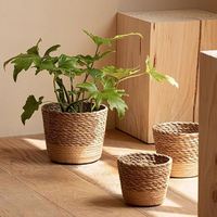 Paneer moule fausses fleurs panier suspendu extérieur noix de coco planteur 12 pouces petite corde de Jute Vietnam fait à la main mur enfants jouet tissé