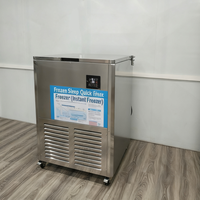 Congélateur à plaques industriel pour aliments congelés Congélateur commercial rapide pour la congélation de la viande