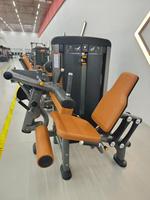 Machine abdominale professionnelle de haute qualité, directement de l'usine, en acier, pour la musculation et l'entraînement en salle de sport.
