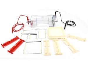 प्रयोगशाला के लिए नैदानिक विश्लेषणात्मक उपकरण प्रयोगशाला एगोरेना या पीसीआर मॉड्यूलर क्षैतिज इलेक्ट्रोफोरेसिस सेल मशीन - Product Image 1