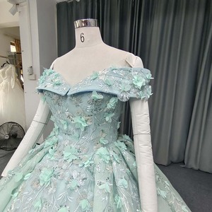 Robes de Quinceañera vert sauge brillantes Lsany255 avec appliques en dentelle, robe de Sweet 16, robe de princesse pour fête, grandes tailles Jancember - Product Image 3
