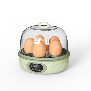 Attrezzatura Didattica: Mini Incubatrice per 6 Uova in Vendita - Product Image 1
