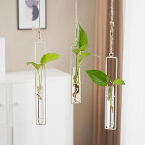 Vase décoratif hydroponique en verre borosilicate, style nordique <span class=keywords><strong>de</strong></span> luxe, écologique, pour mariage, maison, <span class=keywords><strong>pot</strong></span> suspendu mural pour Pothos - Product Image 3