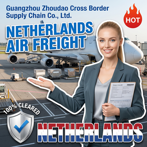 Fournisseur de services d'expédition aérienne directe Chine-Néerlandes, livraison en 4-7 jours, itinéraire terrestre FBA, taxes incluses, Zhoudao - Product Image 1