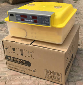 Incubadora automática <span class=keywords><strong>de</strong></span> <span class=keywords><strong>huevos</strong></span> <span class=keywords><strong>de</strong></span> pollo, máquina <span class=keywords><strong>de</strong></span> incubación <span class=keywords><strong>de</strong></span> 48 <span class=keywords><strong>huevos</strong></span> <span class=keywords><strong>de</strong></span> pollo, venta al por mayor, bajo <span class=keywords><strong>precio</strong></span> - Product Image 5