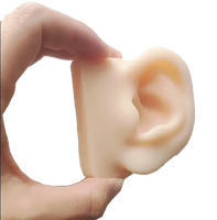 Modèles vivants mous de modèle d'oreille humaine de silicone grandeur nature d'oreille pour l'affichage