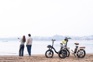 Vélo pliant électrique à gros pneus KOOLUX X16, 7 vitesses, moteur sans balais en alliage d'aluminium, pour trajets domicile-travail, en promotion sur le site EU Warehouse Dropshipping. - Product Image 6