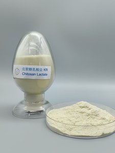 Poudre soluble dans l'eau de lactate de Chitosan d'engrais biologique pour l'agriculture - Product Image 5