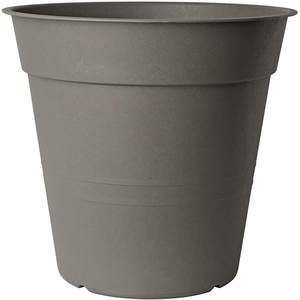 VASO FLY DIAM. 25 CAPUCHINOS - Product Image 1