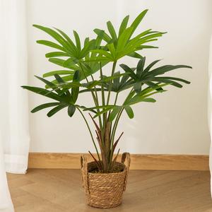 <span class=keywords><strong>Palmier</strong></span> artificiel en vente d'usine, <span class=keywords><strong>palmier</strong></span> en éventail de 120 cm, grand <span class=keywords><strong>palmier</strong></span> en éventail artificiel, grands arbres artificiels d'intérieur - Product Image 2