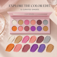 Palette de fards à paupières 12 couleurs avec illuminateur, résistante à l'eau, longue tenue, marque privée, outil de maquillage quotidien