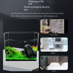 フラッシュセールベータ持続可能なアトマンチャイナベッタフィッシュ水族館 - Product Image 4