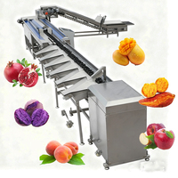 Intelligente Dragon Fruit Sorteermachine Mango Avocado Fruit Weging Sorteermachine