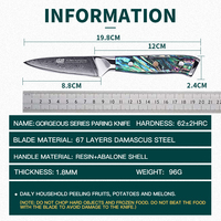 Vindking Prachtige Serie 67 Lagen Damascus Stalen Keuken Fruitmessen Abalone Hars Handvat 3.5 Inch Groenteschild Mes