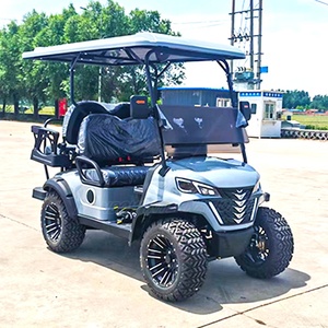 Carrito de Golf <span class=keywords><strong>El</strong></span>éctrico Homologado para Circular por la Calle con Certificación EEC DOT, Buggy <span class=keywords><strong>El</strong></span>éctrico de Lujo de 4 Plazas para Vecinados y Clubes - Product Image 1
