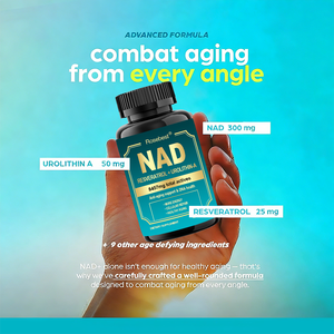 Capsule di Integratore Liposomiale NAD+ Vegano con Resveratrolo e Urolitina-A per Supporto Anti-Invecchiamento e <span class=keywords><strong>Salute</strong></span> del DNA, Etichetta Privata OEM - Product Image 2