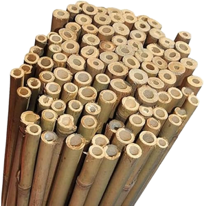 Piquets en bambou robustes, best-sellers, idéaux pour le soutien des tomates et l'entraînement des vignes, texture bois durable pour une agriculture écoresponsable - Product Image 1