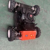 Cortadora de Césped Industrial con Control Remoto, Ancho de Corte de 550 mm, Ángulo de Inclinación de 45°, Motor de Gasolina, Caja Recolectora de 60L, Personalización OEM