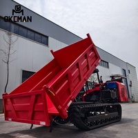 5 Tonnen Euro 5 Diesel Neuer Raupendumper mit Verstärktem Schwerlastchassis Linkslenkung Extrem Starke Steigfähigkeit