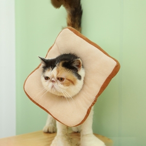 엘리자베스 칼라 조정 가능한 토스트 고양이 spayed 고양이 개 소프트 칼라 안티 스크래치 안티 핥기 엘리자베스 애완 동물 목걸이 - Product Image 1