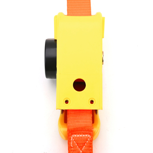 1 inch 25mm 500kg Polyester GS TUV tự động có thể thu vào tự động tự rút Ratchet Tie xuống dây đeo - Product Image 6