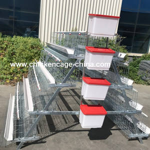 Tavuk kullanımı tavuk pil kafesleri cezayir'de - Product Image 5