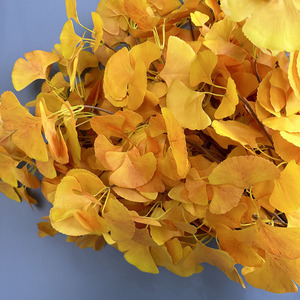 Feuilles de <span class=keywords><strong>Ginkgo</strong></span> pour décoration d'intérieur haut de gamme Feuilles de <span class=keywords><strong>Ginkgo</strong></span> <span class=keywords><strong>Biloba</strong></span> en soie de haute qualité Feuilles de <span class=keywords><strong>Ginkgo</strong></span> artificielles - Product Image 5