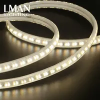Bande lumineuse LED à double couleur SMD2835, étanche IP65, avec variateur d'intensité, télécommande, 144 LED/m, CRI élevé 80, AC 110-220V